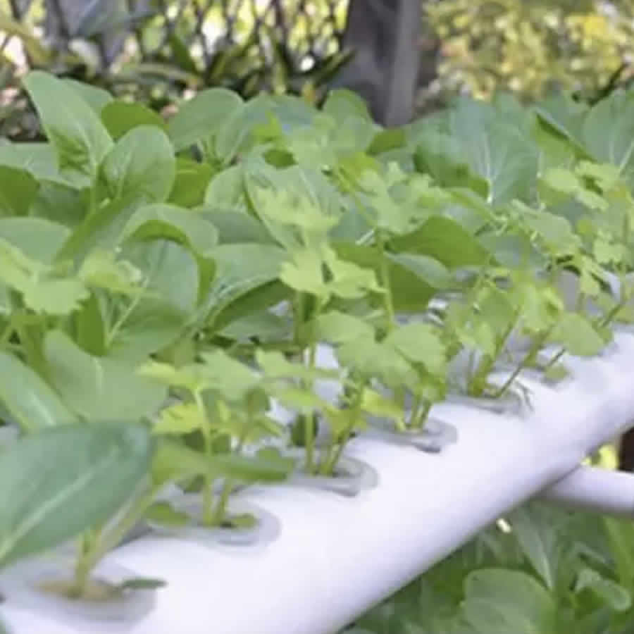 36 Cup NFT Hydroponic Kit: image 11