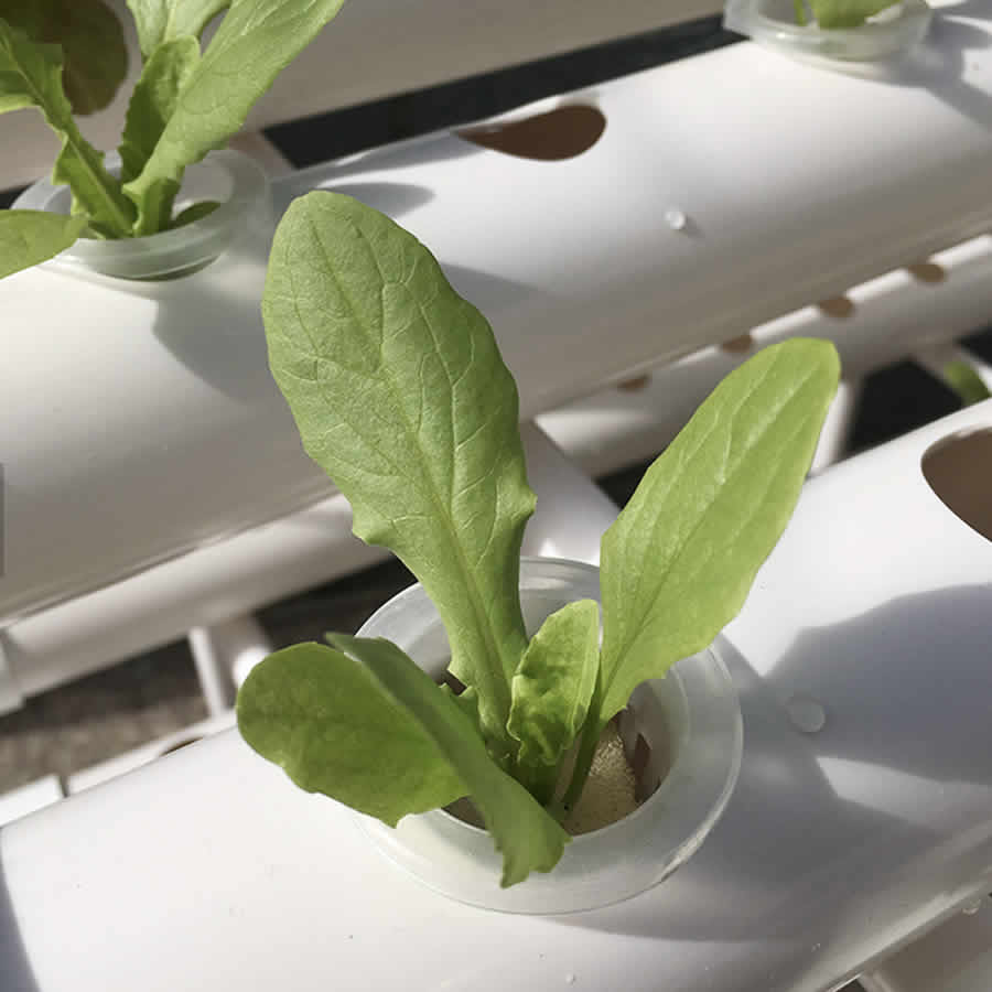 108 Cup NFT Hydroponic System: image 2