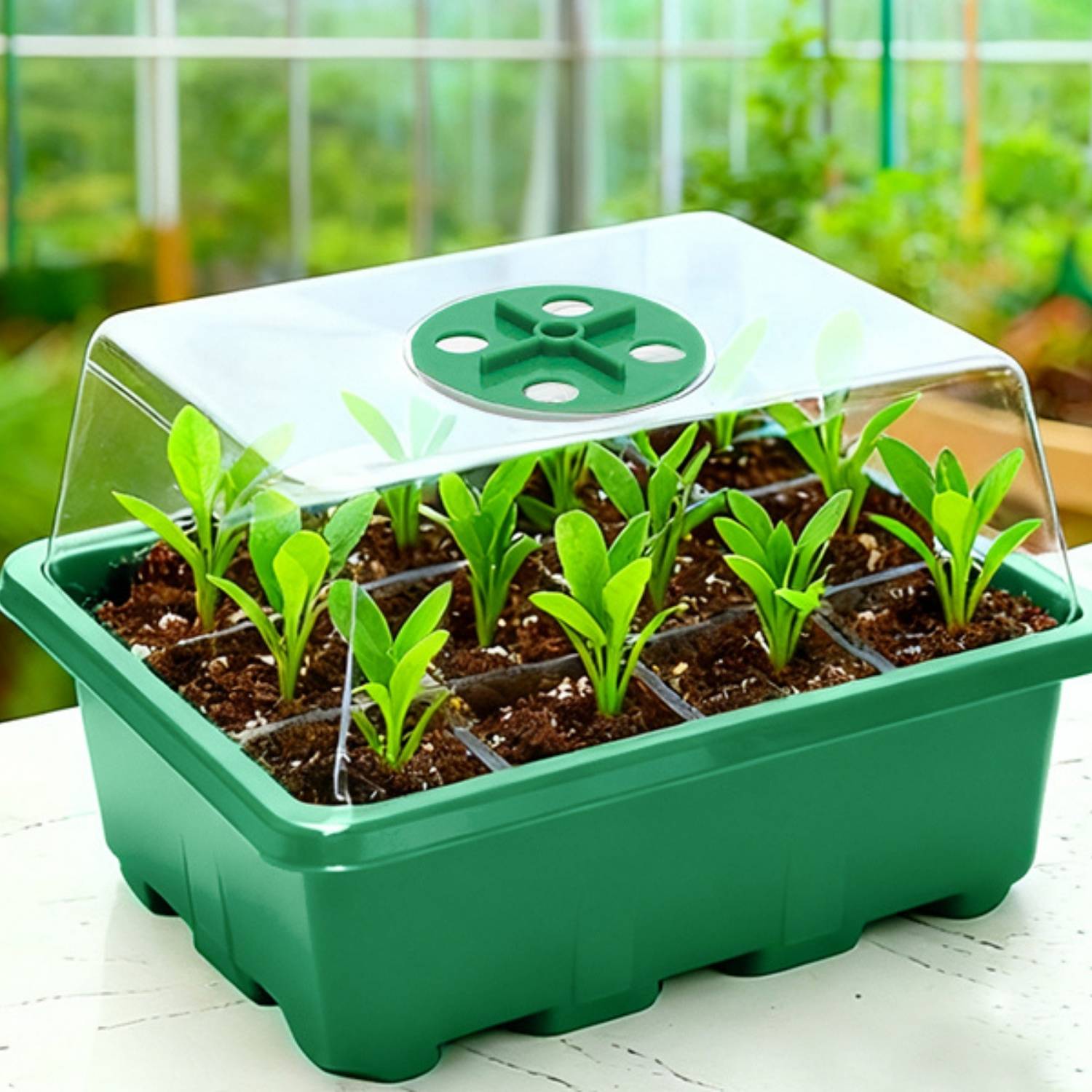 Seed Starter Trays with Humidity Domes, Pack of 5