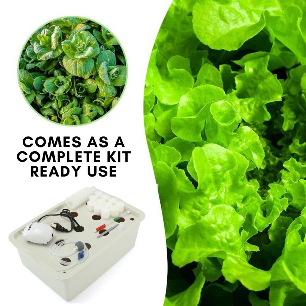 Deep Water Culture Hydroponic System, 11 Cup: image 10