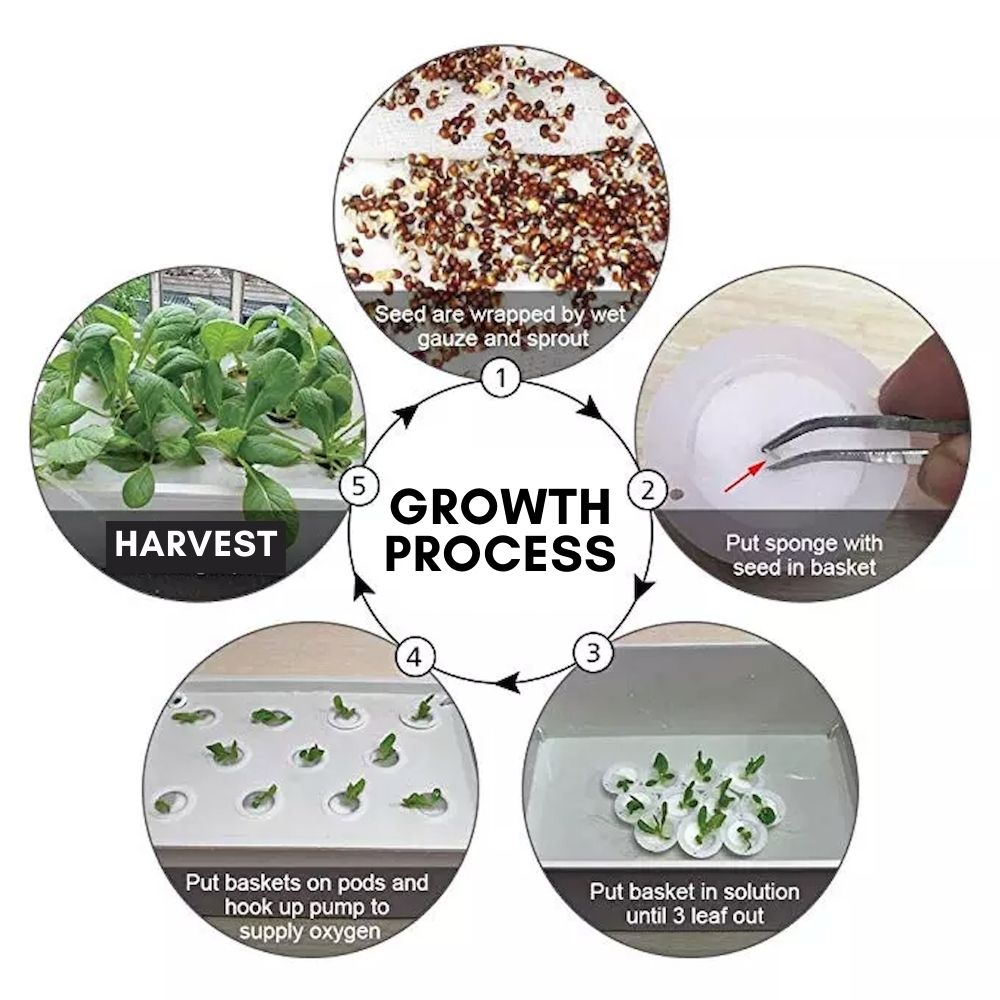 Deep Water Culture Hydroponic System, 11 Cup: image 11