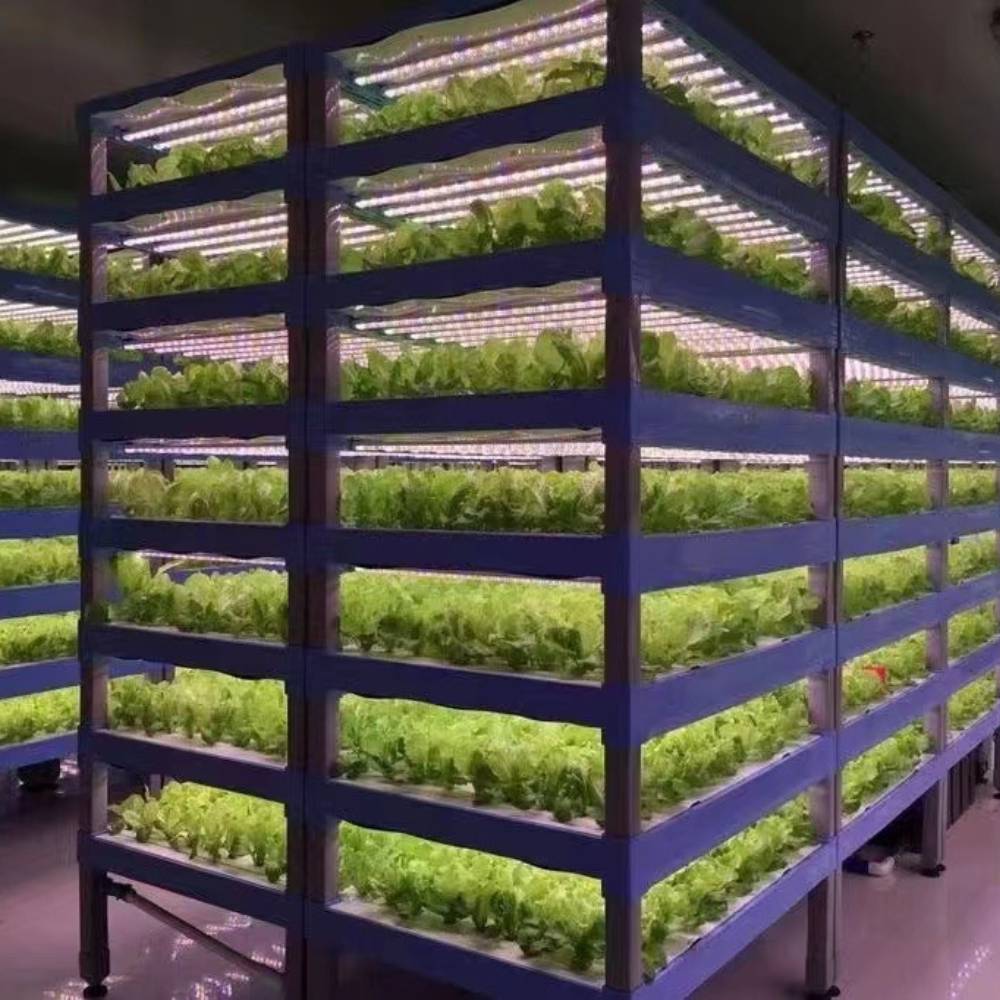 buy hydroponic grow light online